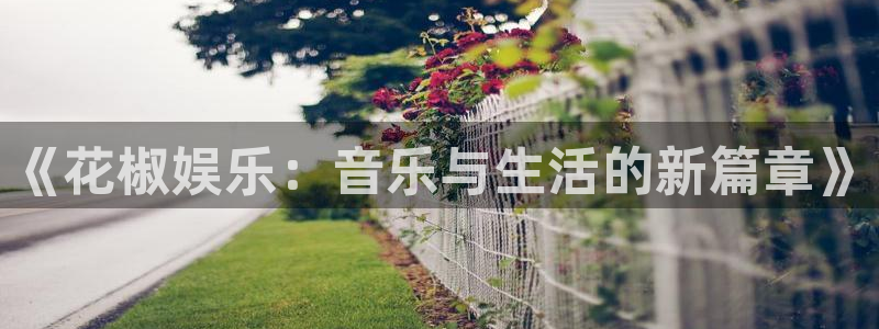 顺盈娱乐
