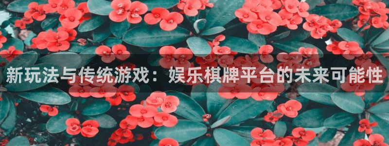 顺盈娱乐