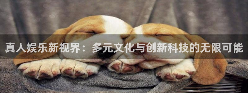 顺盈娱乐