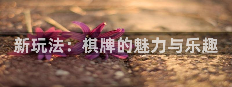 顺盈娱乐