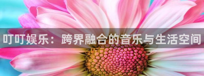 顺盈娱乐