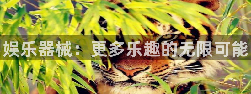 顺盈娱乐