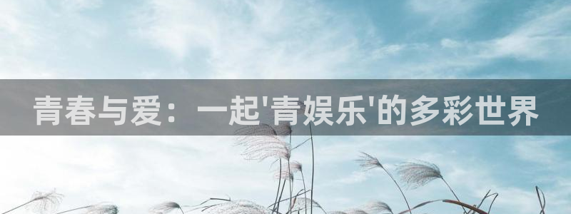 顺盈娱乐