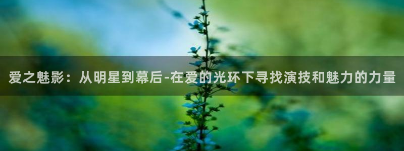 顺盈娱乐