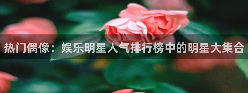 顺盈娱乐